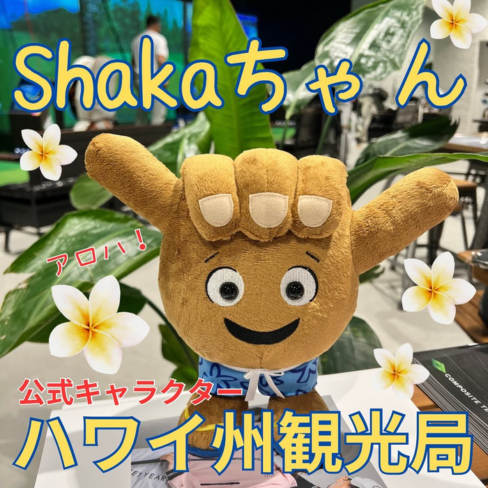 画像515